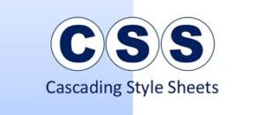 What is CSS or Cascading Style Sheets & How Strong is it?