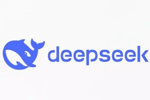 What is DeepSeek?